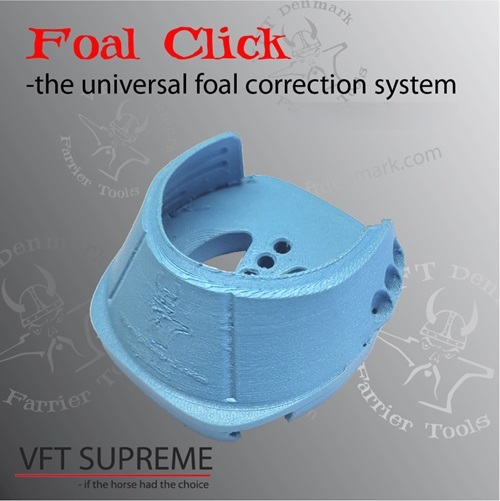 VFT FOAL CLICK